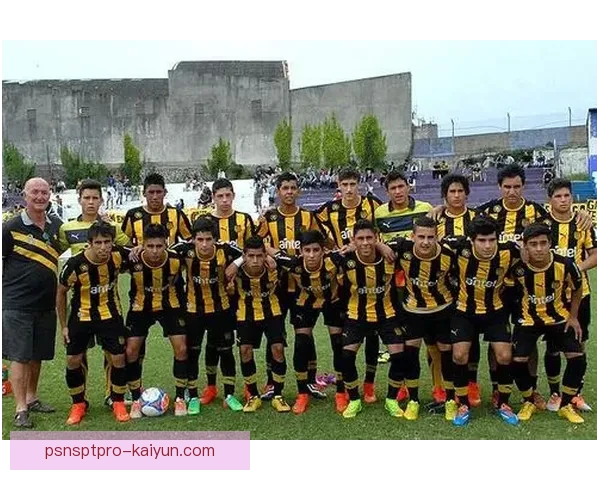 巴尔韦德佩纳罗尔青训出道，职业生涯起步阶段表现稳健